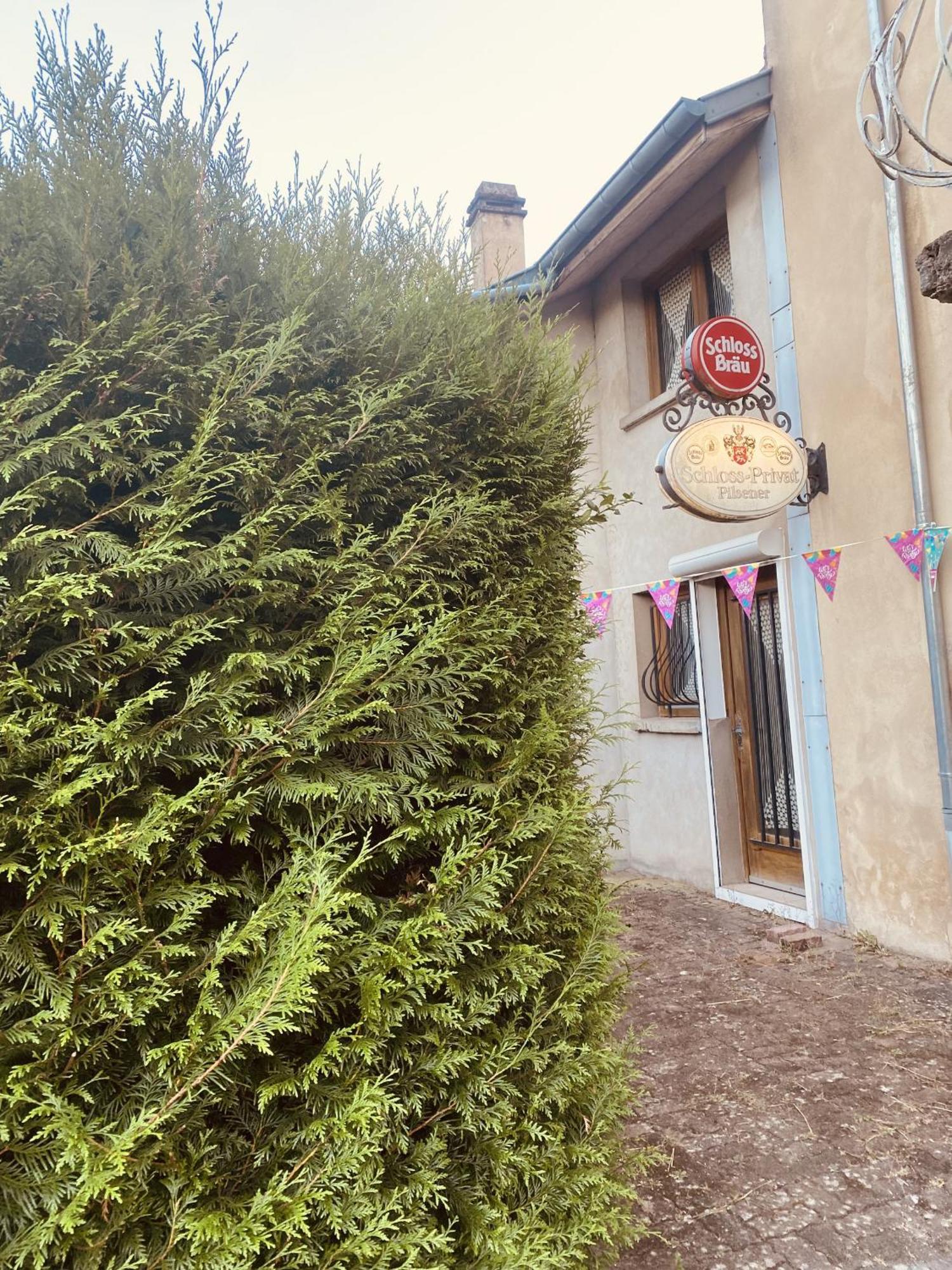 Villa L'Industrie de Marie - Comme à la Guinguette ! Hombourg-Haut Esterno foto