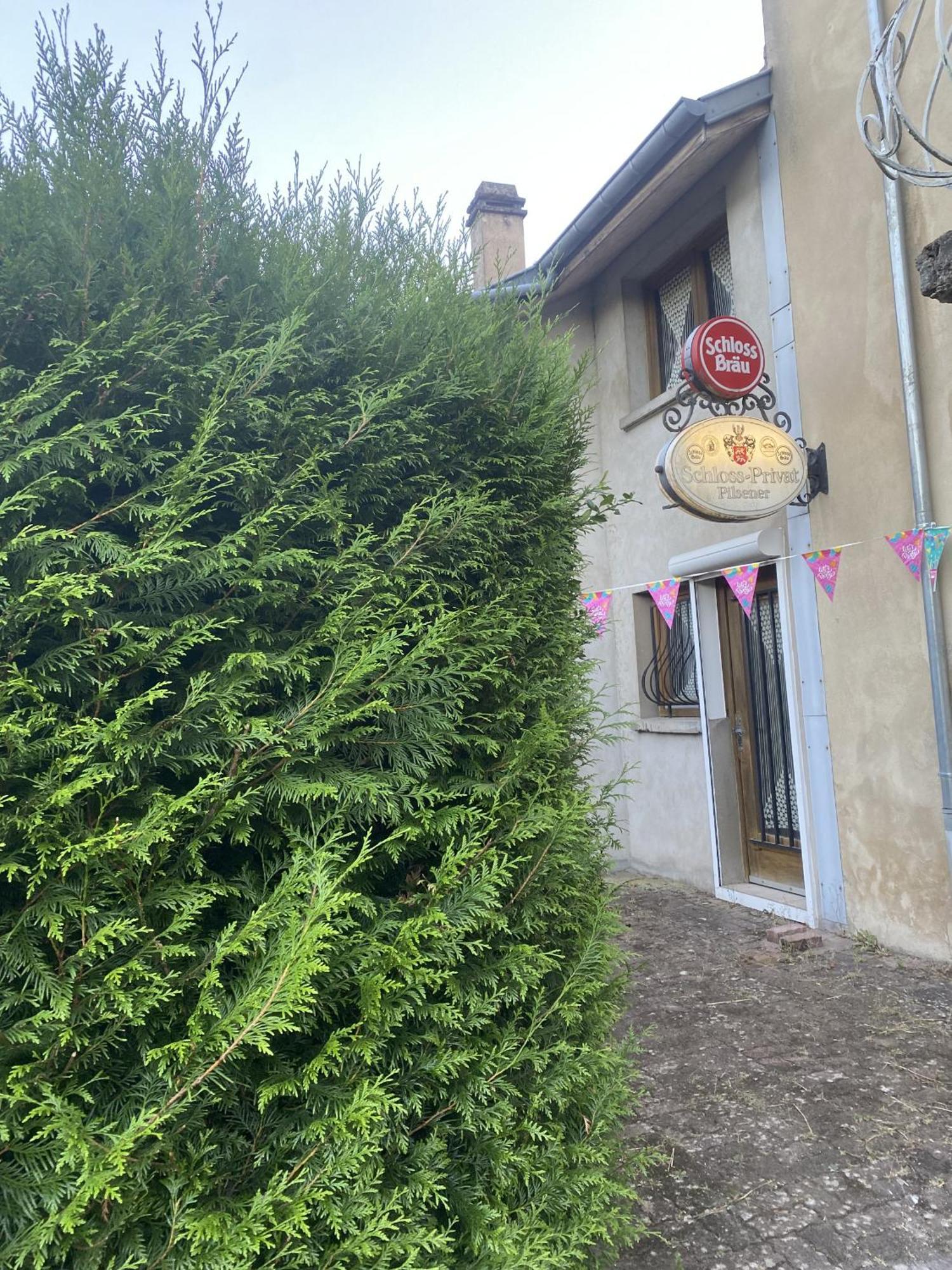 Villa L'Industrie de Marie - Comme à la Guinguette ! Hombourg-Haut Esterno foto